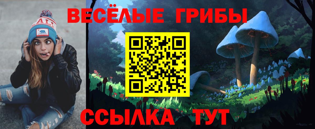 Галлюциногенные грибы ЛСД Чапаевск