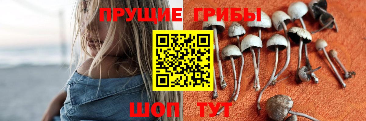 Псилоцибиновые грибы мицелий  Вход с VPN  где купить наркоту  Чапаевск 